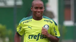 Foto: César Greco/ Palmeiras
