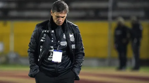 API/AGIF - Bustos no comando do Peixe.