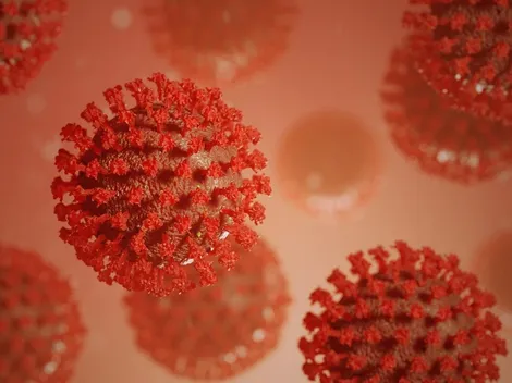 Covid-19: Brasil registra 46 mortes pela doença em 24h