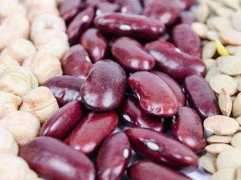 Dengue: alimentação pode ajudar na recuperação dos infectados e aliviar os sintomas