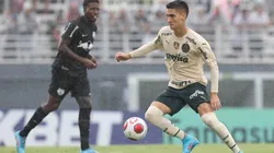 Palmeiras x Bragantino; prognósticos de um jogo importante para os dois times (Foto: Cesar Greco/Palmeiras)