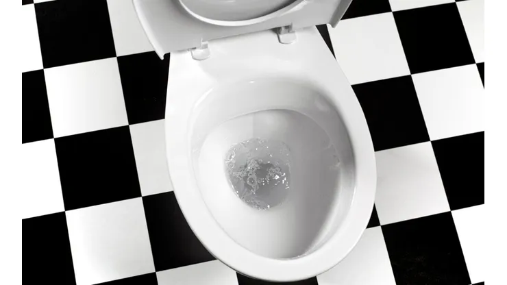 Um vaso sanitário. Foto: Peter Dazeley/Getty Images