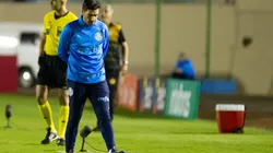 Marcos Zanutto/AGIF - Abel terá sequência pesada no Palmeiras.