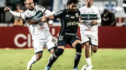 Santos x Coritiba; prognósticos de um desafio para os santistas (Foto: Ivan Storti/SantosFC)