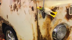 Carro chamou a atenção em via nos Estados Unidos