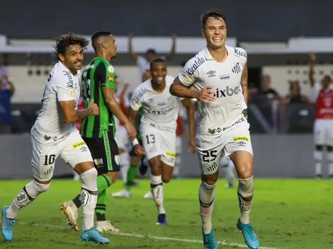 Relembre as últimas campanhas do Santos no Brasileirão