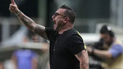 "Não são importantes"; Mohamed 'saí da casinha' e fala sobre baixas do Atlético contra o Bragantino