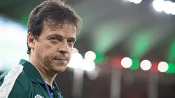 Foto: Jorge Rodrigues/AGIF - Fernando Diniz deseja reforço para o ataque tricolor