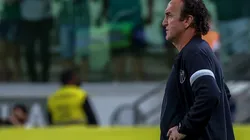 BRASILEIRO A 2021, PALMEIRAS X ATLETICO MG