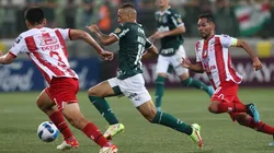 Independiente Petrolero x Palmeiras; prognósticos do jogo da quarta rodada da fase de grupo da Libertadores (Foto: Cesar Greco/Palmeiras)