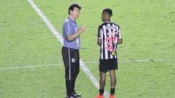 Fernando Diniz e Tchê Tchê chegaram a conversar, depois da discussão entre eles, no ano passado; na época, eles já estavam em equipes diferentes, e situação ainda levanta discussões atuais