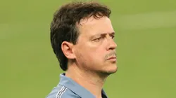 Fernando Diniz expõe se retornaria ao comando do Fluminense