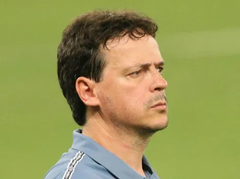 Fernando Diniz expõe se retornaria ao comando do Fluminense