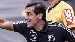 - Bustos tem evoluído com o seu trabalho no Peixe