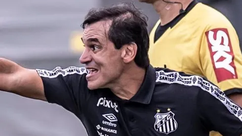 - Bustos tem evoluído com o seu trabalho no Peixe