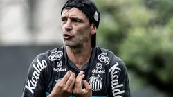 Foto: Ivan Storti/Santos FC