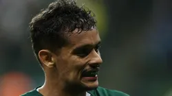 - Scarpa virou xodó da torcida palmeirense