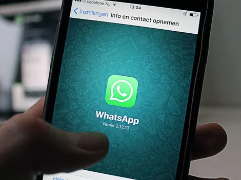 WhatsApp está criando uma versão paga do aplicativo com recursos extras