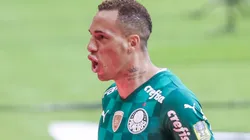 Breno Lopes está invicto no Palmeiras há 14 jogos e expõe bastidores do elenco; Veja