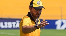 Ozair Júnior/Grêmio Novorizontino. Allan Aal ganha reforços jovens para disputa na Série B