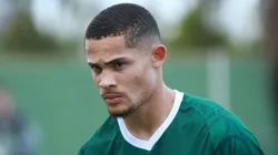Foto: (Site Oficial Goiás/Rosiron Rodrigues/Goiás EC) - Renato Júnior deve ser uma das novidades do Goiás para a estreia na Série A