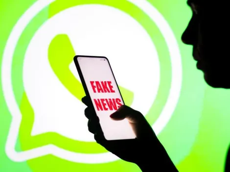 WhatsApp lança assistente virtual junto aos TSE para tirar dúvidas sobre eleições