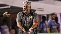 Foto: (Renan Oliveira/AGIF) - Geninho tem mais desfalques no Vitória para a estreia na Série C do Campeonato Brasileiro