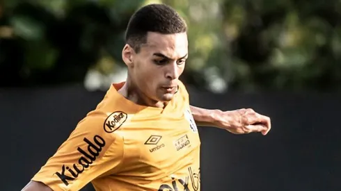 Foto: Ivan Storti/Santos FC