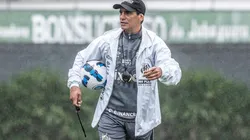 Mais um jogador pedido pelo técnico Fabián Bustos foi contratado pelo Santos
