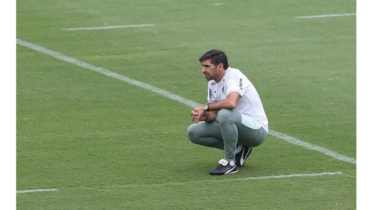Foto: César Greco/ Palmeiras