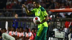 "Mérito dele"; velho conhecido do Palmeiras manda a real sobre Abel e expõe opinião sobre o Choque-Rei