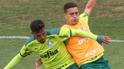 Foto: Cesar Greco - Renan (à dir) está no radar do Coritiba, informa o UOL Esporte