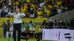 Thiago Ribeiro/AGIF - Titular de Tite quer atuar no Furacão