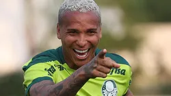 Foto: Cesar Greco - Sociedade Esportiva Palmeiras