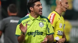 Foto: Cesar Greco/Palmeiras/Divulgação - Abel Ferreira: tem reforço contra o Red Bull Bragantino