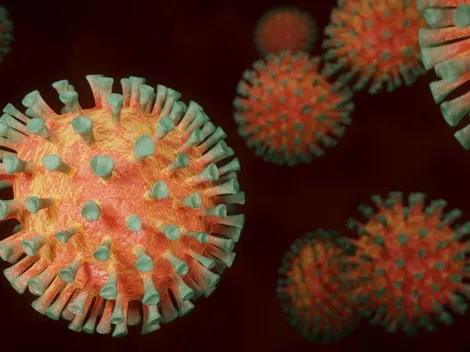 Covid-19: Número de mortes no mundo é o menor desde março de 2020, informa OMS