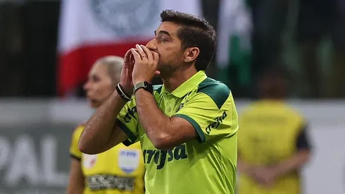 Foto: Cesar Greco/Palmeiras