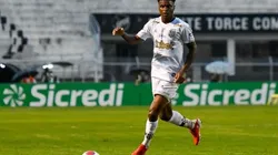 Foto/Reprodução Twitter: @lucas_rossafa - Álvaro Junior - Volante está de saída da Ponte