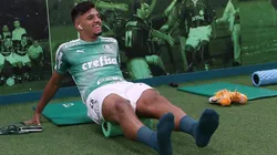 Foto: César Greco/ Palmeiras