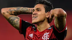 Foto: Thiago Ribeiro/AGIF - Pedro foi "assediado" pelo Palmeiras recentemente.