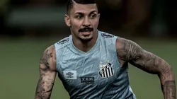 Foto: Ivan Storti/Santos FC/Divulgação - Alison: volante estava cotado para retornar ao Peixe