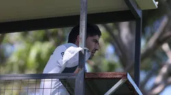 Divulgação/Palmeiras Twitter. Abel Ferreira já havia mostrado insatisfação com desfalques para decisão no Paulista.