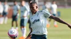 Fernando em ação com a camisa do Palmeiras, antes de ser vendido ao Shakhtar (Foto: César Greco/Palmeiras)