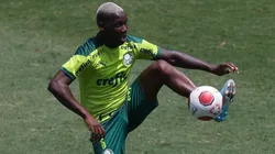 Foto: Cesar Greco/Palmeiras/Divulgação - Patrick de Paula: na mira do Botafogo