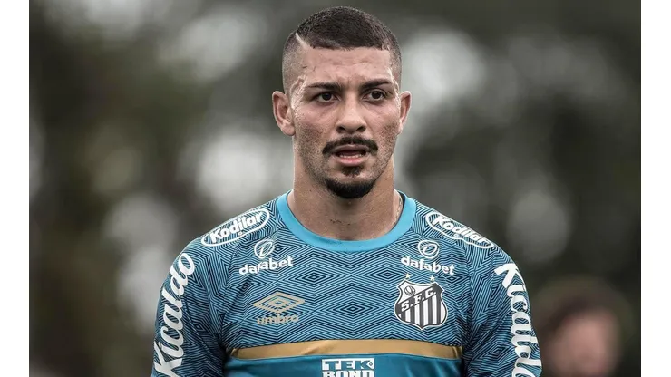 Foto: Ivan Storti/Santos FC