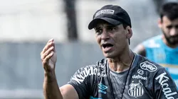 Foto: Ivan Storti/Santos FC