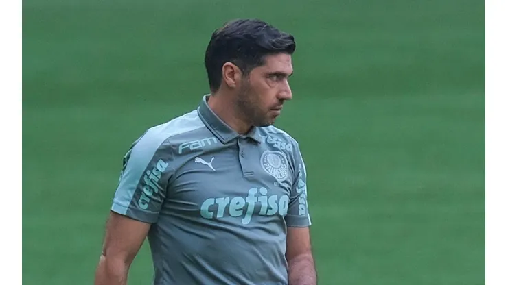 Foto: Marcello Zambrana/AGIF | Abel Ferreira vê o jogador como uma referência positiva para o elenco