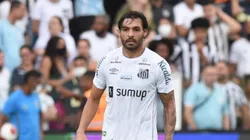 Foto: Ivan Storti/Santos FC