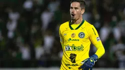 Foto: (Diogo Reis/AGIF) - Um dos líderes do elenco do Goiás, Tadeu já trabalhou com Bruno Pivetti no passado