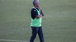 Foto: Celio Junior/AGIF - Paulo Bonamigo recebe atacante para o restante da temporada